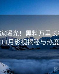 1398. 独家曝光！黑料万里长征首页2020年11月影视揭秘与热度密码
