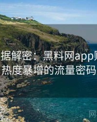 0635. 数据解密：黑料网app财务造假热度暴增的流量密码