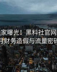 1174. 独家曝光！黑料社官网2022年3月财务造假与流量密码