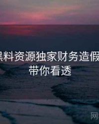 1461. 黑料资源独家财务造假全纪录，带你看透