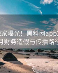 0244. 独家曝光！黑料网app2018年8月财务造假与传播路径