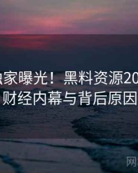 1133. 独家曝光！黑料资源2025年5月财经内幕与背后原因