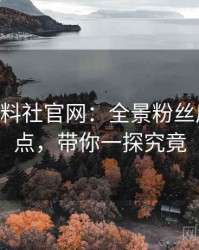 1013. 黑料社官网：全景粉丝后援会盘点，带你一探究竟