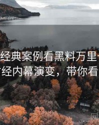 1214. 从经典案例看黑料万里长征首页财经内幕演变，带你看透