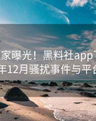 0867. 独家曝光！黑料社app下载官网2024年12月骚扰事件与平台算法