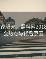 1157. 独家曝光！黑料网2018年6月社会热点与背后原因
