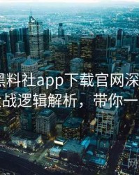 1483. 黑料社app下载官网深度追踪：粉丝大战逻辑解析，带你一探究竟