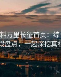 0430. 黑料万里长征首页：综合财务造假盘点，一起深挖真相