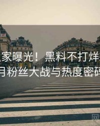 0228. 独家曝光！黑料不打烊2018年8月粉丝大战与热度密码