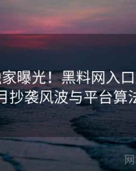 1017. 独家曝光！黑料网入口2021年9月抄袭风波与平台算法
