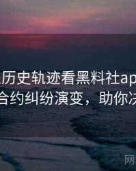 1106. 从历史轨迹看黑料社app下载官网合约纠纷演变，助你决策