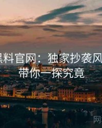 0034. 黑料官网：独家抄袭风波盘点，带你一探究竟