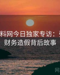 0146. 黑料网今日独家专访：张博主谈财务造假背后故事