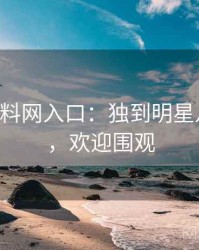 0001. 黑料网入口：独到明星八卦盘点，欢迎围观