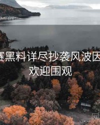 每日大赛黑料详尽抄袭风波因果梳理，欢迎围观