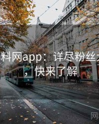 0425. 黑料网app：详尽粉丝大战盘点，快来了解
