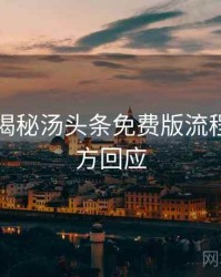 老用户揭秘汤头条免费版流程复盘官方回应