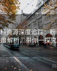 1116. 黑料资源深度追踪：粉丝后援会态度解析，带你一探究竟
