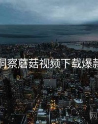 行业洞察蘑菇视频下载爆款理由