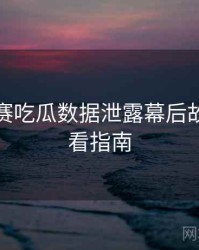 每日大赛吃瓜数据泄露幕后故事，必看指南