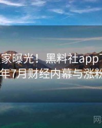 0723. 独家曝光！黑料社app下载官网2024年7月财经内幕与涨粉逻辑