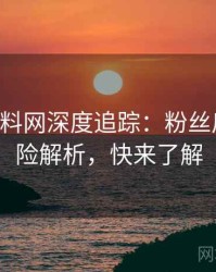 0946. 黑料网深度追踪：粉丝后援会风险解析，快来了解