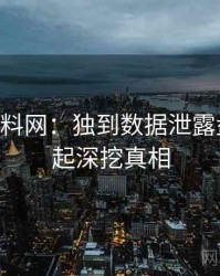1429. 黑料网：独到数据泄露盘点，一起深挖真相